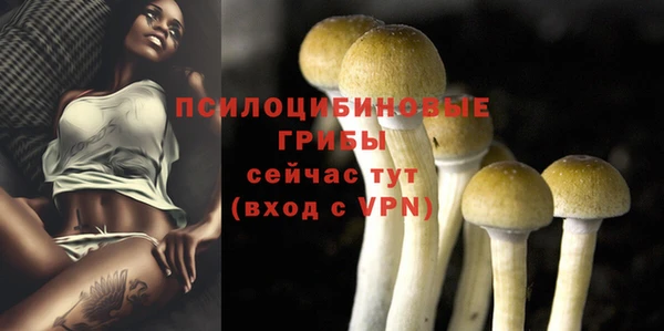 прущая мука Беломорск