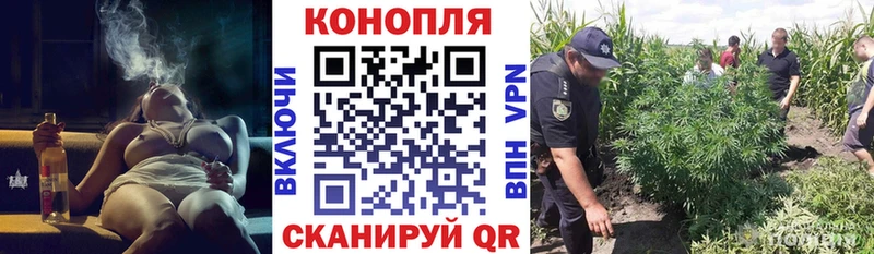 купить закладку  Пионерский  Марихуана MAZAR 